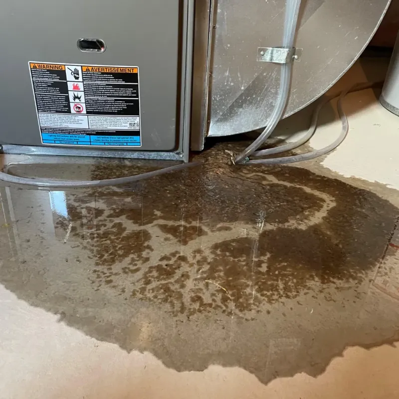 Appliance Leak Cleanup in Lodi, CA